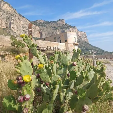 Giorgisa * Palermo